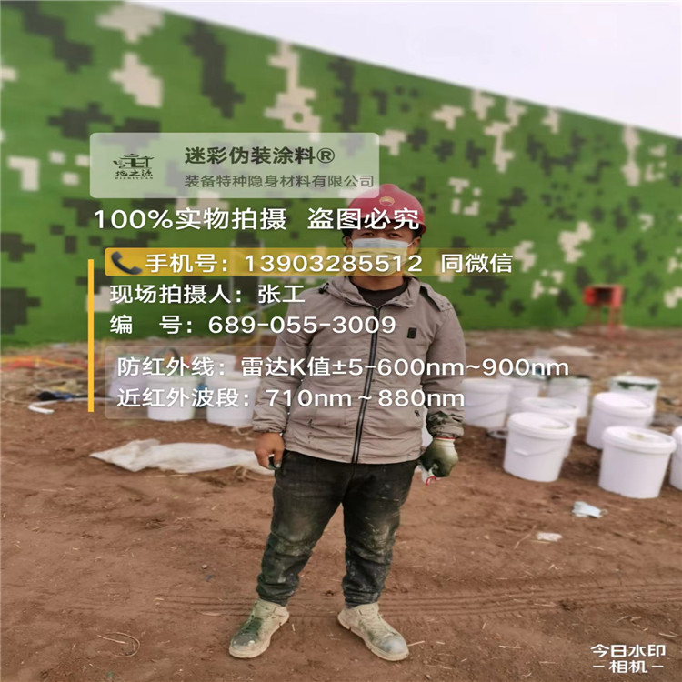 北海​包括外墙、护坡、水泥地面建筑物的迷彩喷涂